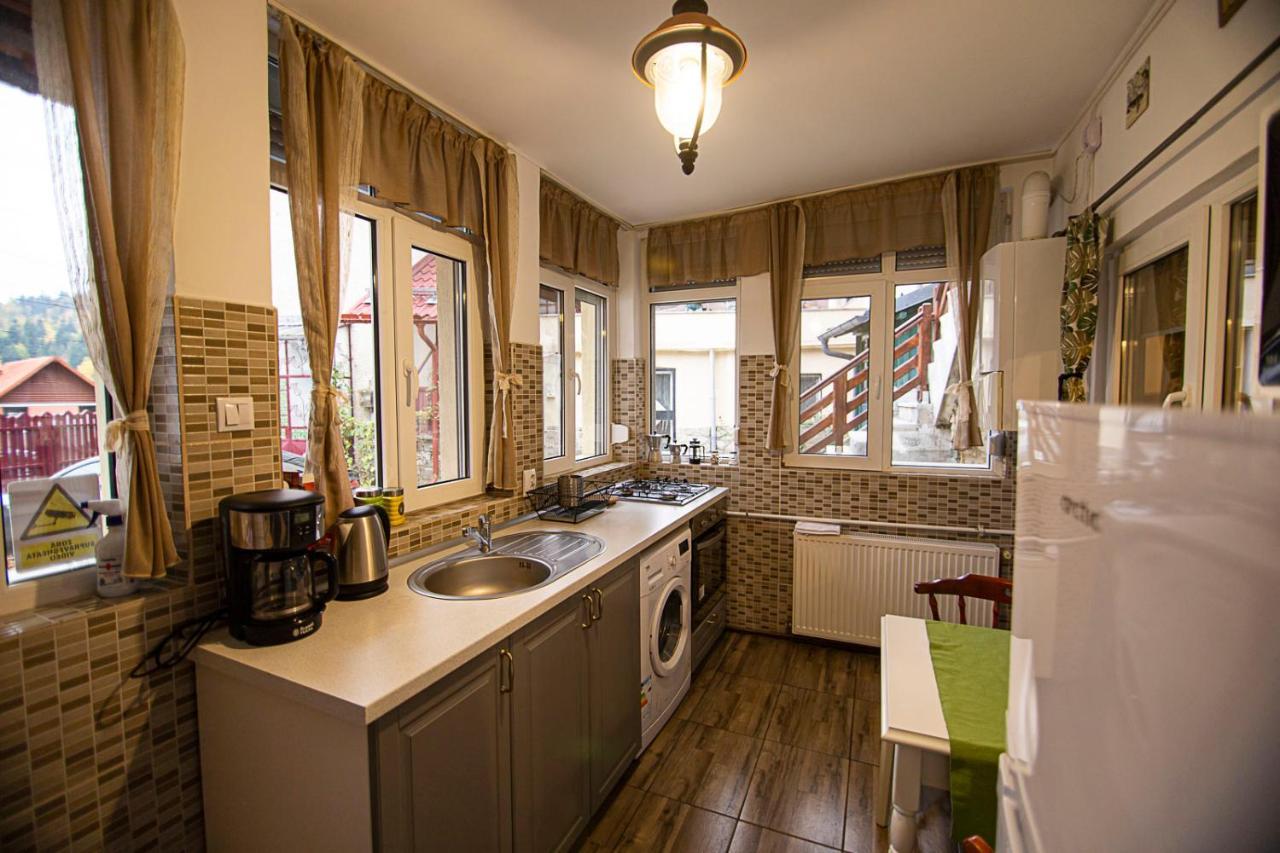 Casa Sara Apartment Sinaia Bagian luar foto